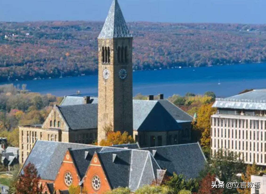 有一种学霸叫王垠：放弃清华博士学位，微软对他“全球封杀”