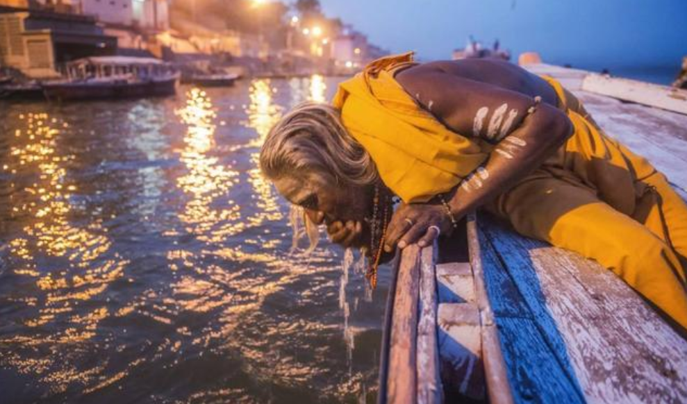印度500万只甲鱼泛滥成灾，为何印度人自己不愿吃？