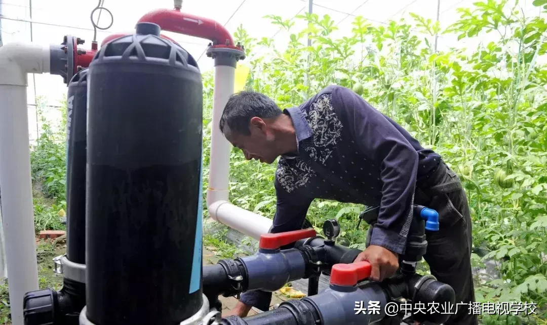 【农技】6000元一吨与20000元一吨的水溶肥区别在哪里?行业新标准预计2020完成!