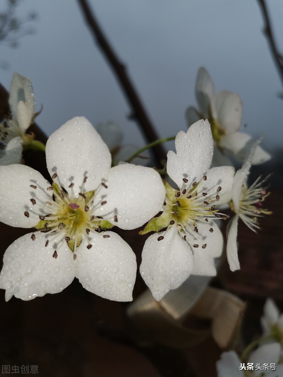 史上最全组合飞花令：季节＋天气（一）春＋天气