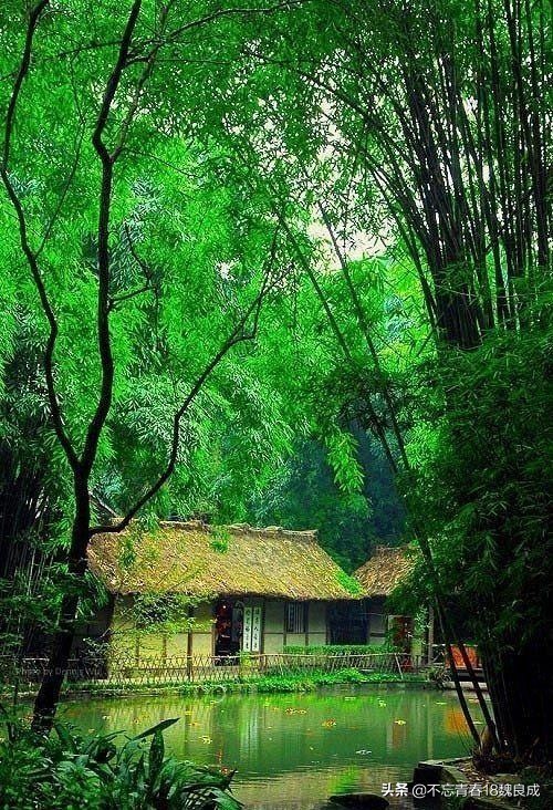 【原创首发】晨雾朦胧锁群山，仙境飘渺如梦幻