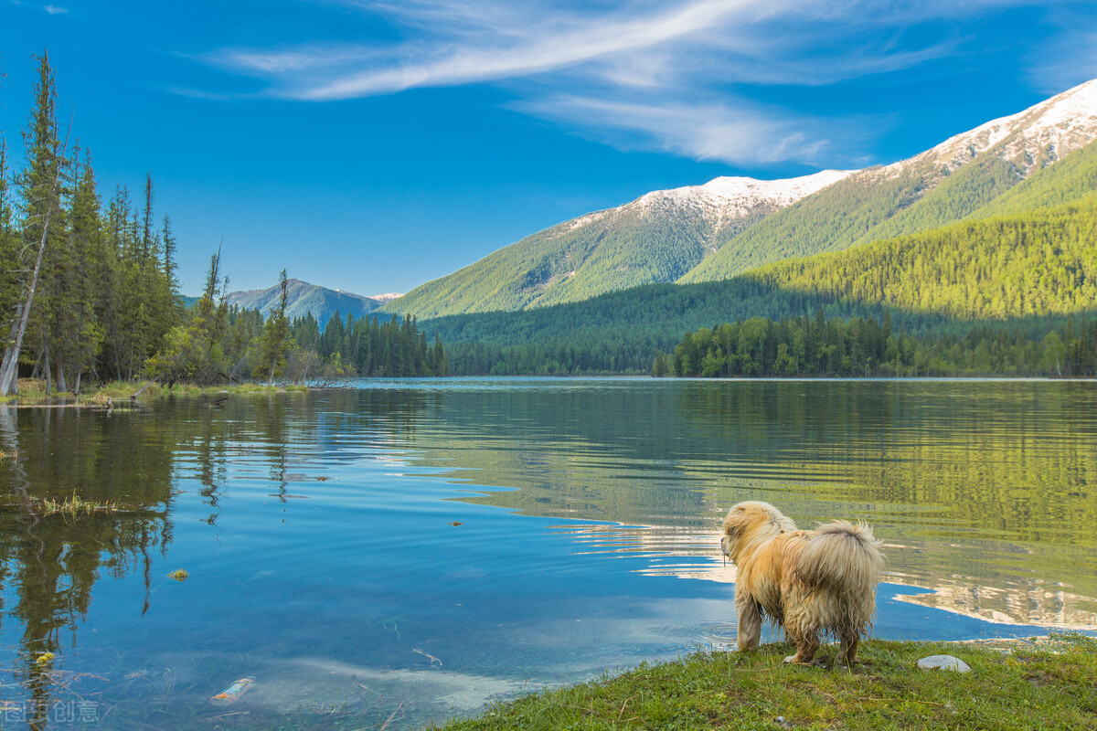 推荐国内最美的八大湖泊，看看你最喜欢哪个？插图11