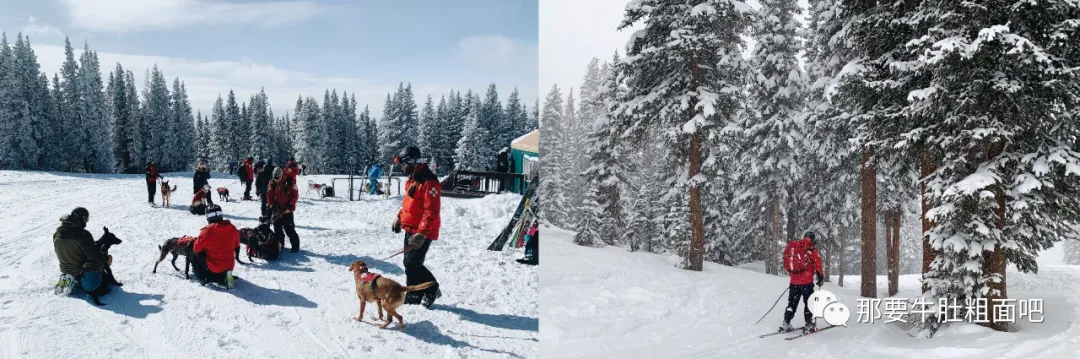 当大雪飞过那个小镇,我哪儿都不去 | 当我滑雪时我在想什么