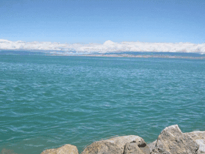 快来向水学习！