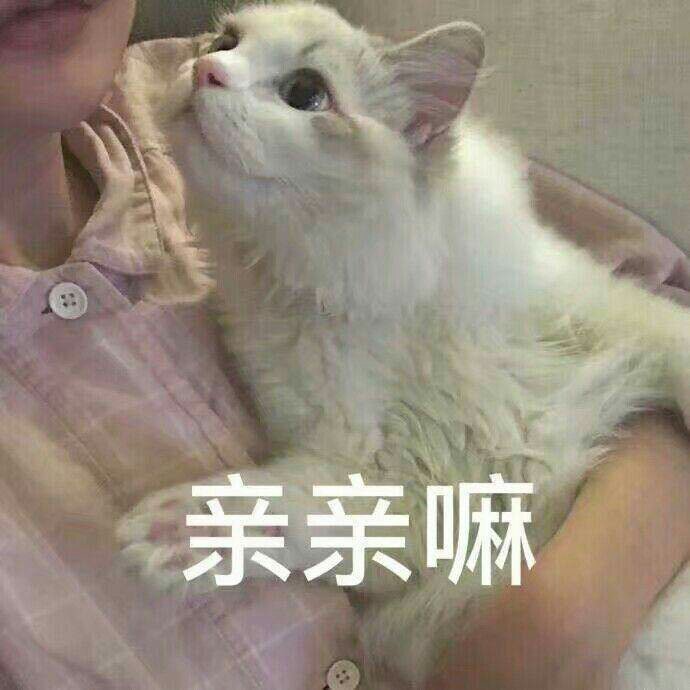 表情包：重拳出击