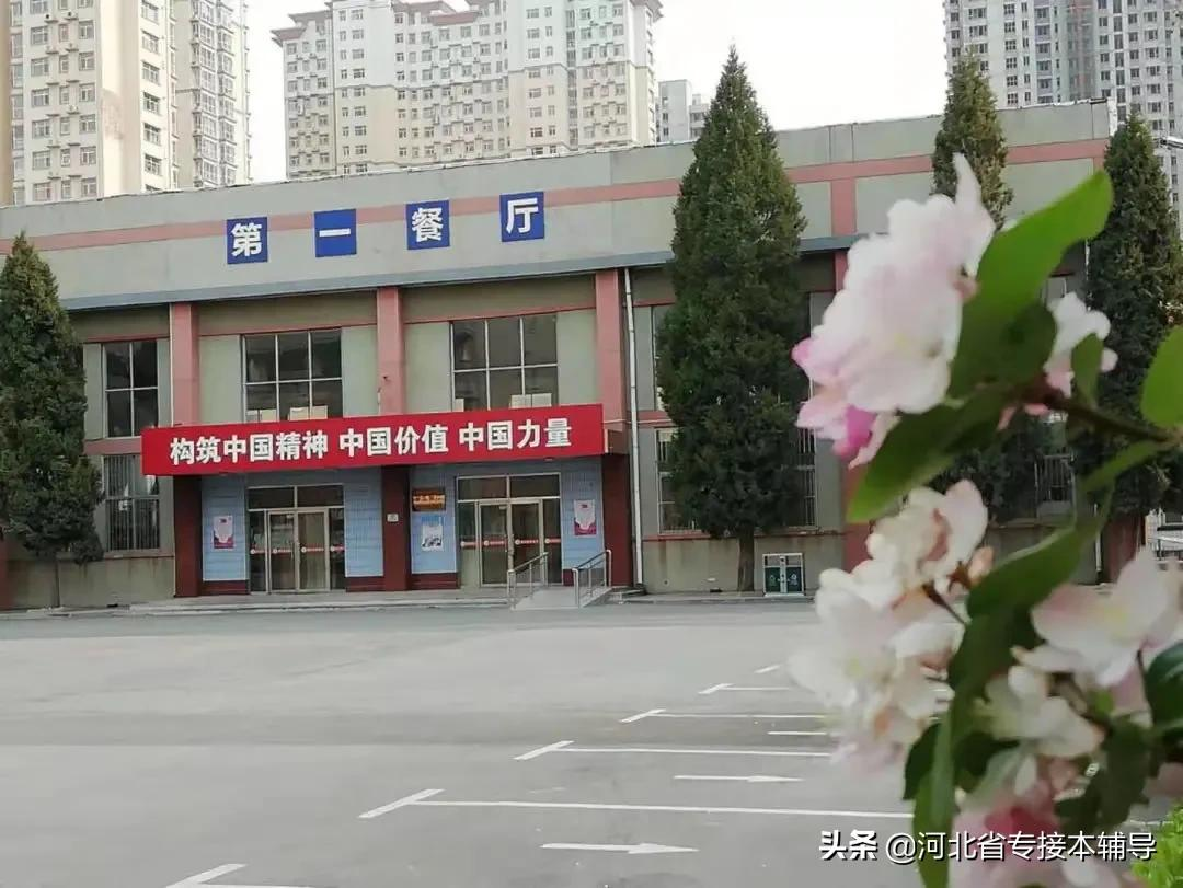 衡水学院：相比上一年招生减少1/3的名额