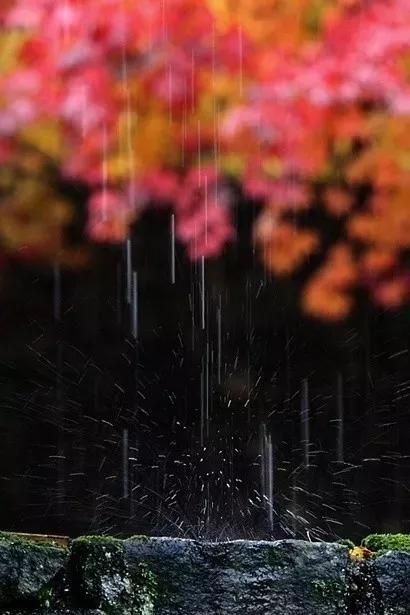 十首听雨诗词：雨声淅淅，你在思念谁？