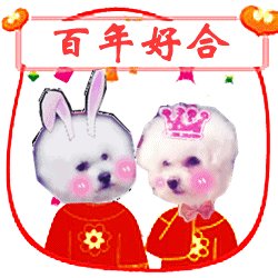 新婚祝福表情合集｜新婚快乐