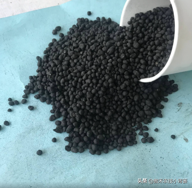菌種購買,菌種購買網(wǎng)站