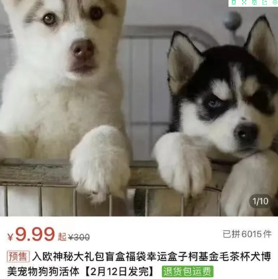 激怒4.6亿人，央视下场痛批！最“反人性”的生意，还在疯狂敛财
