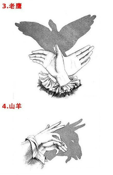 手影戏,我看到了女儿天生的创造力!_晶羽科技