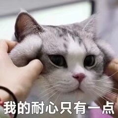 猫咪表情包合集｜很好，你成功引起我的注意