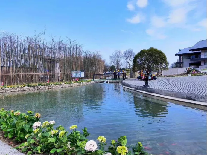 小升初可直升！新政之下，成都38所热门民办一贯制学校最全盘点