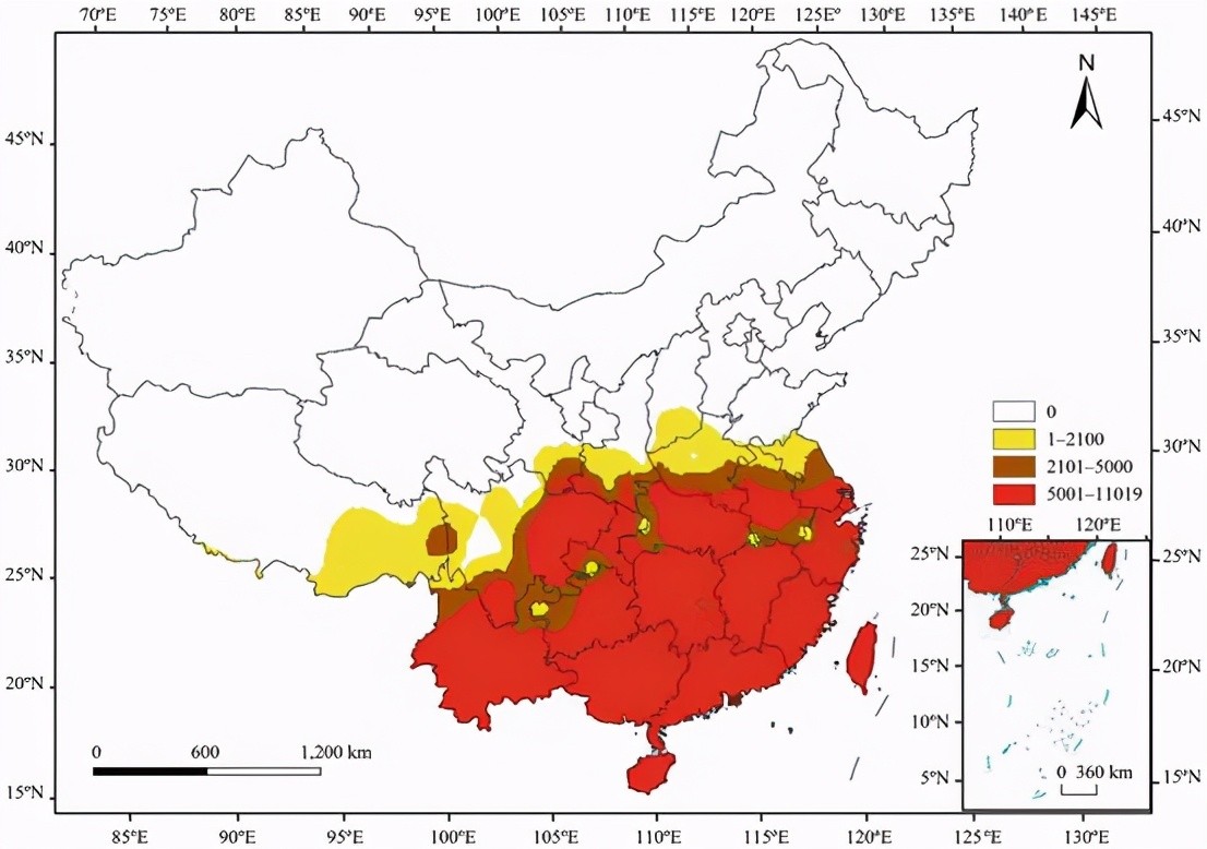 红火蚁入侵中国，或将造成1280亿元经济损失，物种入侵有多恐怖？