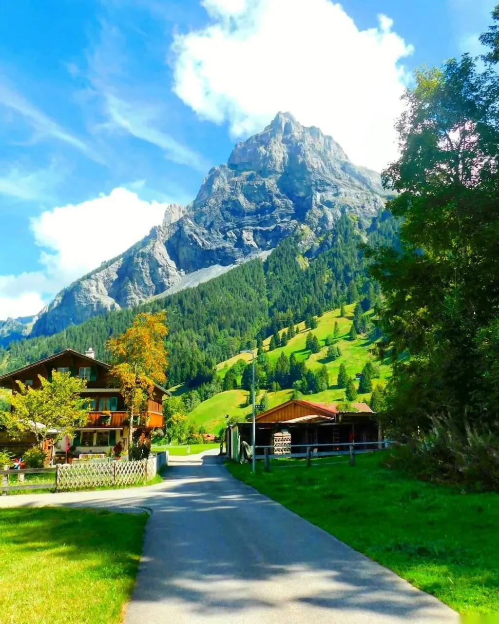 轻盈舒缓,悠然自在的句子,带你走近自然梦回天堂