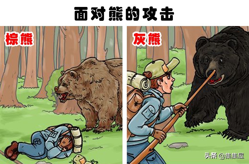 汽车后备箱被困如何快速逃生？实用自救指南