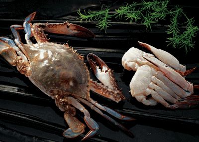 哪些海鲜热量高（高血脂篇高脂肪酸海鲜类）
