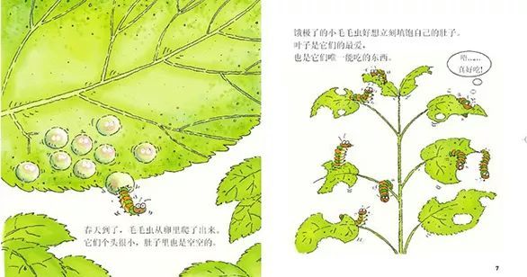 绘本故事|从前有一只毛毛虫,讲述毛毛虫蜕变成美丽蝴蝶的过程