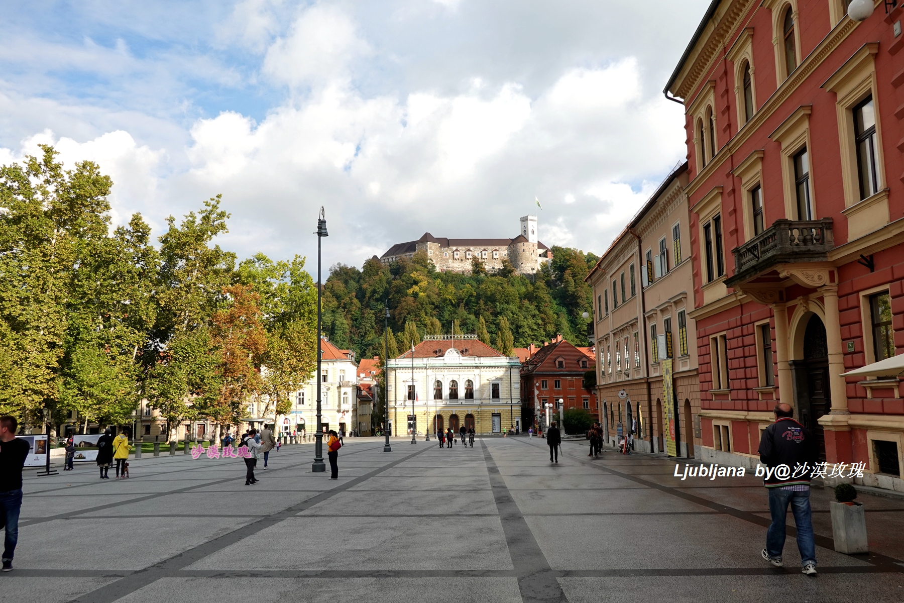 国度是什么意思 国度的近义词是什么-诚智百科网