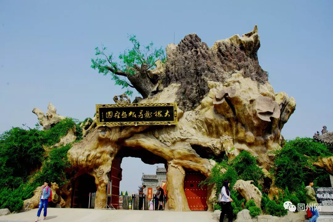 问祖寻根记