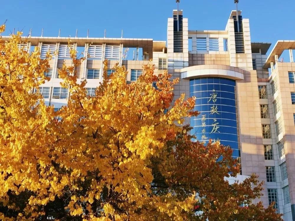 重磅！吉林大学2020年强基计划招生简章！