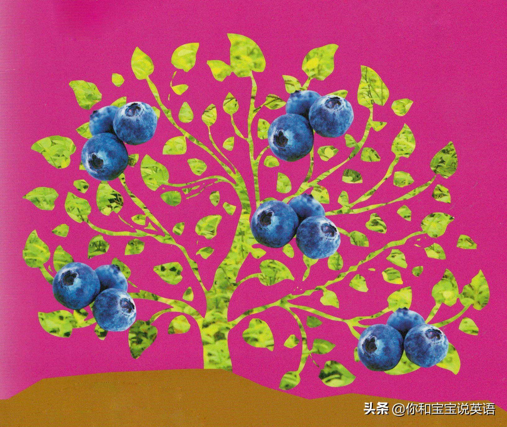 采摘亲子英文+科普—草莓蓝莓、萝卜白菜，谁长地上，谁长藤上？