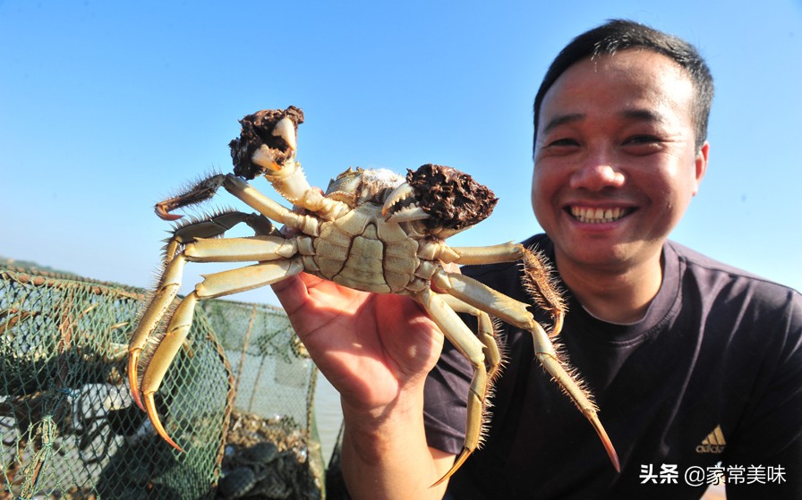 中国十大名蟹排行榜(全国哪里的大闸蟹最好吃？中国十大大闸蟹排行榜，看看你吃过几种)