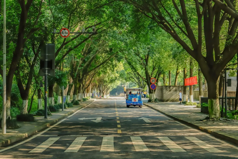 重庆超豪华大学：依山环水，占地2390余亩，校内出行还得坐车