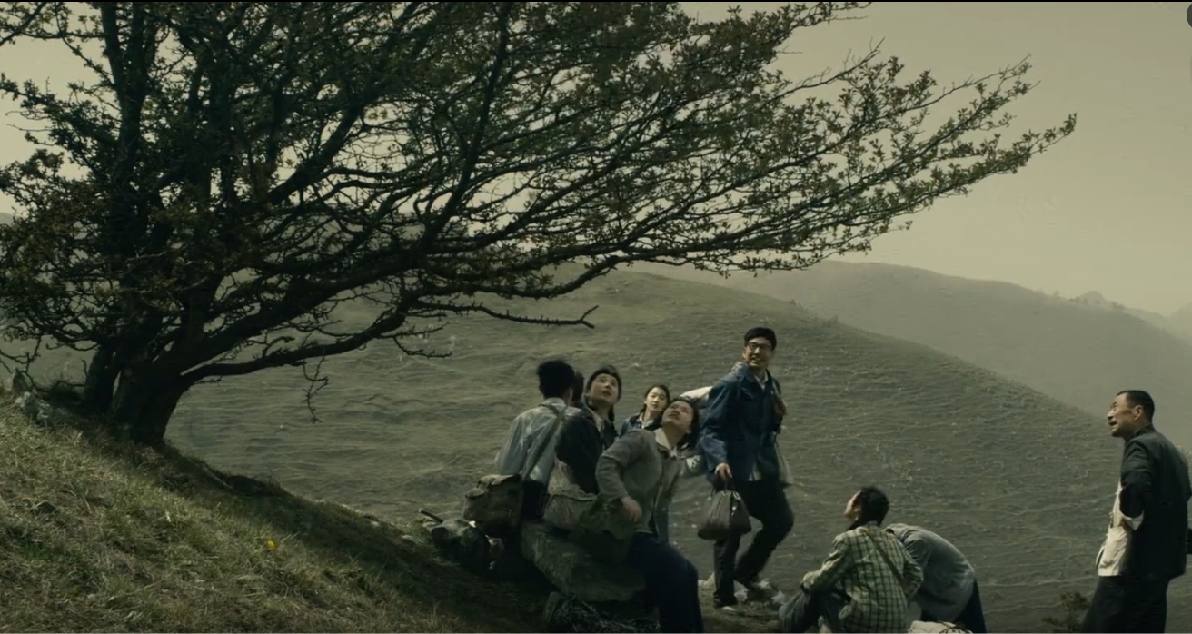 电影《山楂树之恋》文解