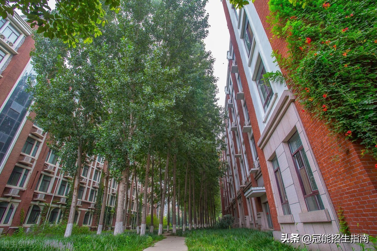 四川职高学校排名（成都护理公办中专学校排名_排名前五的公办中专学校）