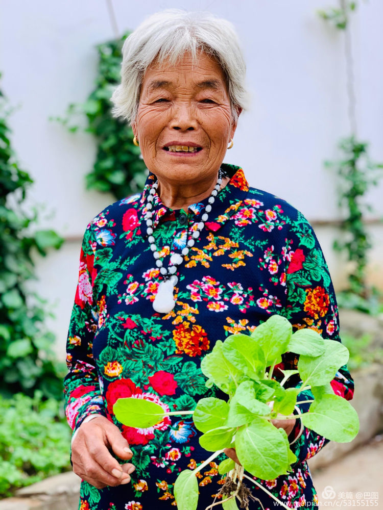 10月7日重阳节，十几首诗词100幅照片，致敬天下老年人