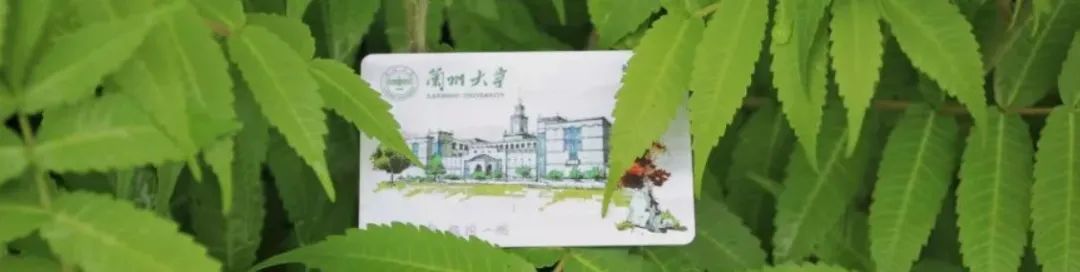 报兰大，就对了！@你这个优秀的推免生