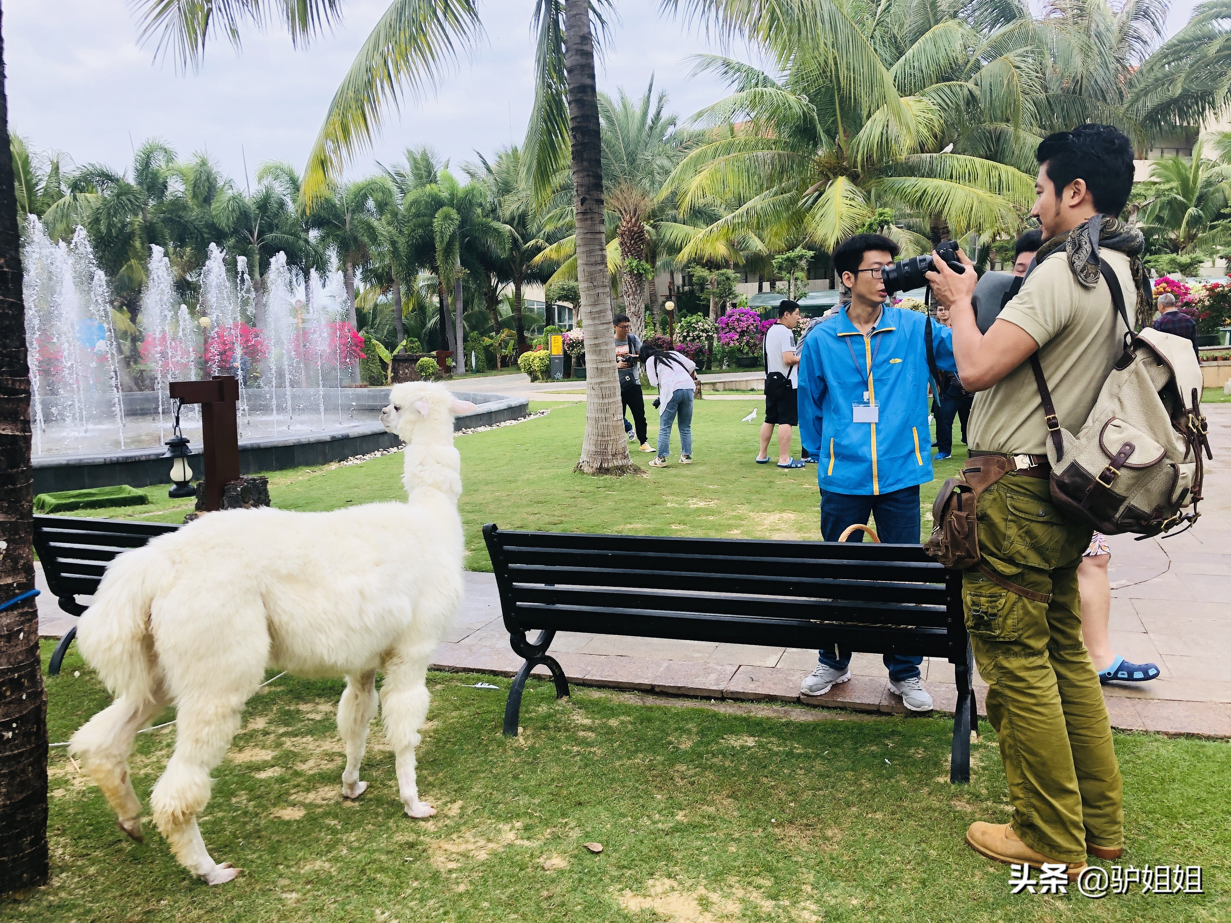 到三亚是来享受的，三天住宿两千多，就当犒劳自己了