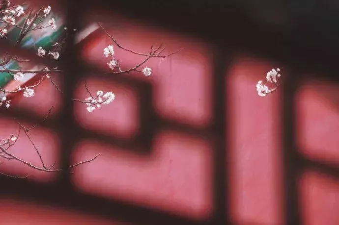 2019高考满分作文出炉！妙用传统文化元素，这些考生亮了