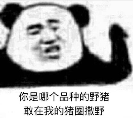 熊猫头表情包：刚刚好像有人叫我爸爸，不过，他已经撤回了