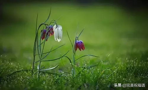 心宽,路自宽