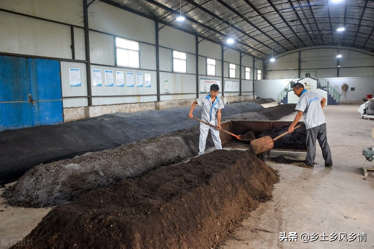 用这种方法能快速把鸡粪发酵成有机肥，快来学习一下，很实用