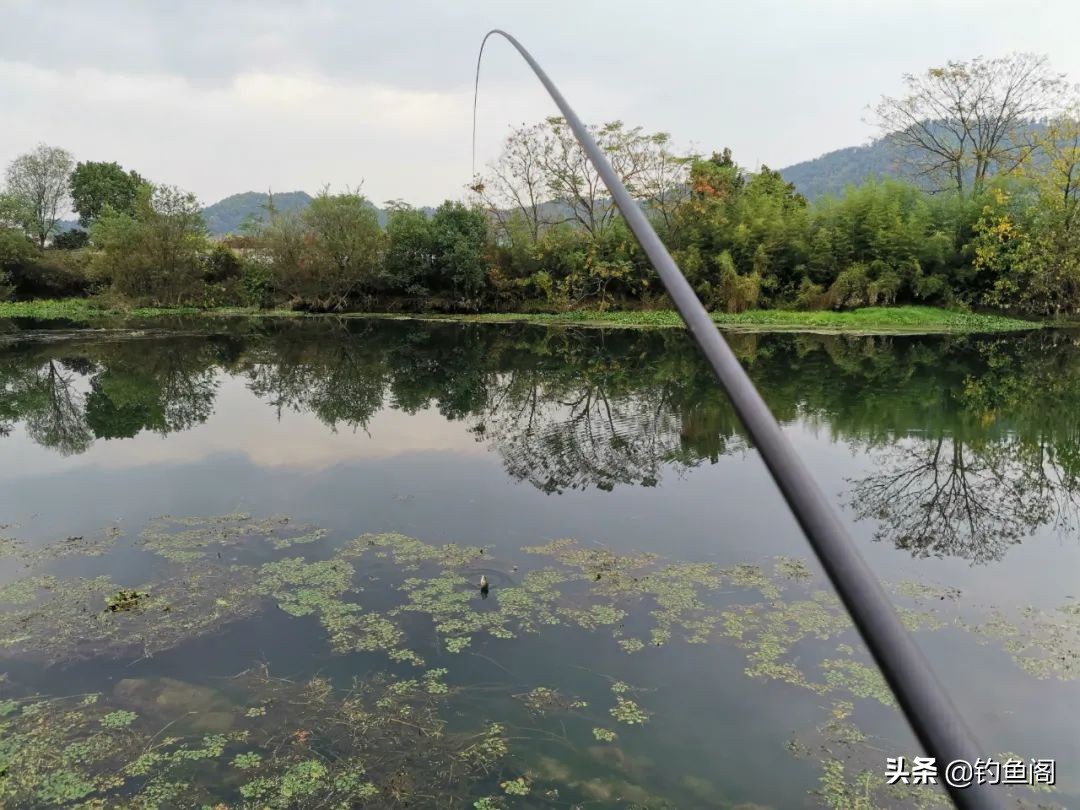 用短竿的才是高手？李大毛、化绍新笑而不语，刘志强退出群聊