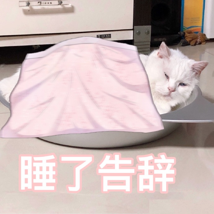 猫咪表情包｜睡了告辞