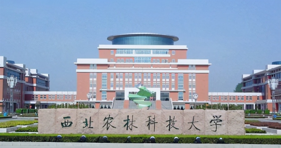 网传河南科技学院拟更改校名定了，名字不输985，学生：期待