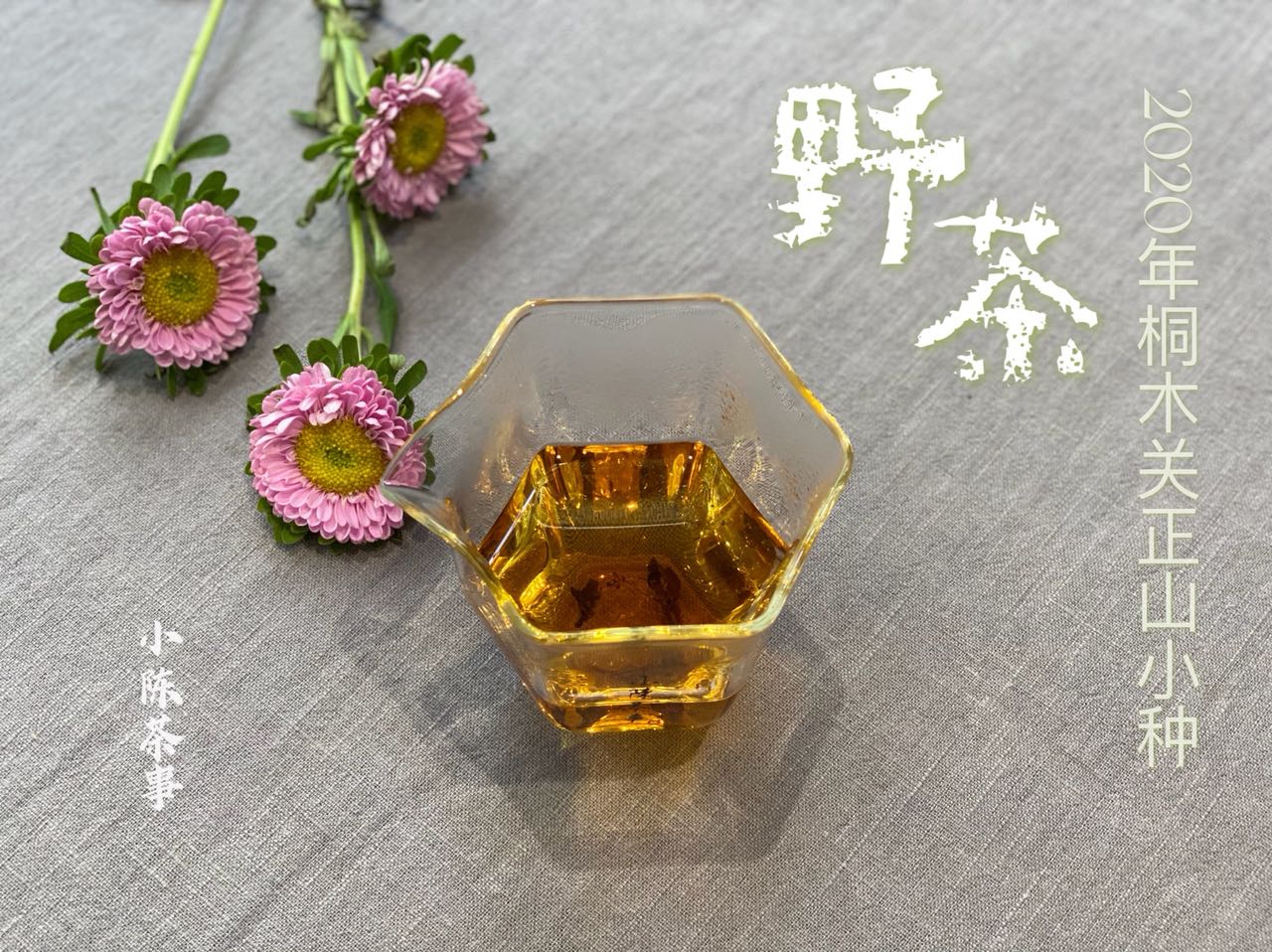 红茶怎么冲泡更好喝？带你了解正确的冲泡方法，新手小白也能懂