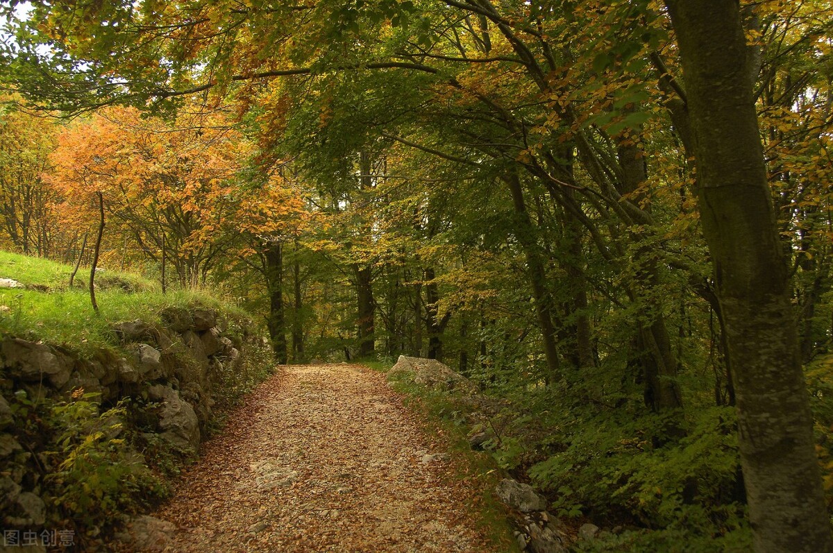 微笑过后的眼泪