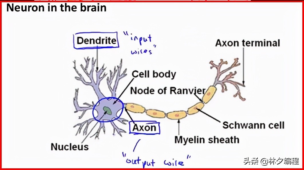 「Python人工智能」 一.神经网络入门及theano基础代码讲解