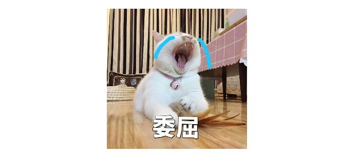 改革后的广西师范大学心理学，考研难度以及报录情况到底如何？