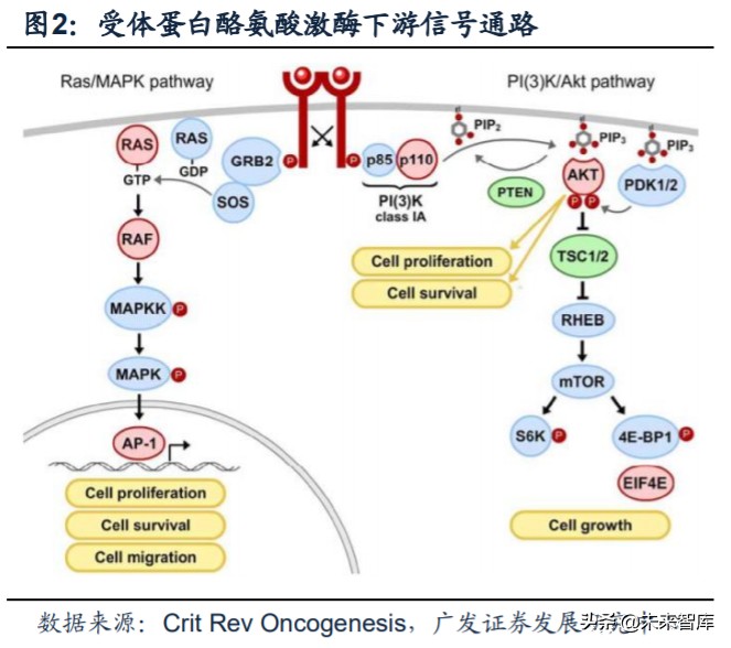 暨大创科acr深导的价格医药行业专题