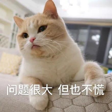《不慌不忙》：我赢了世界，却输给了你