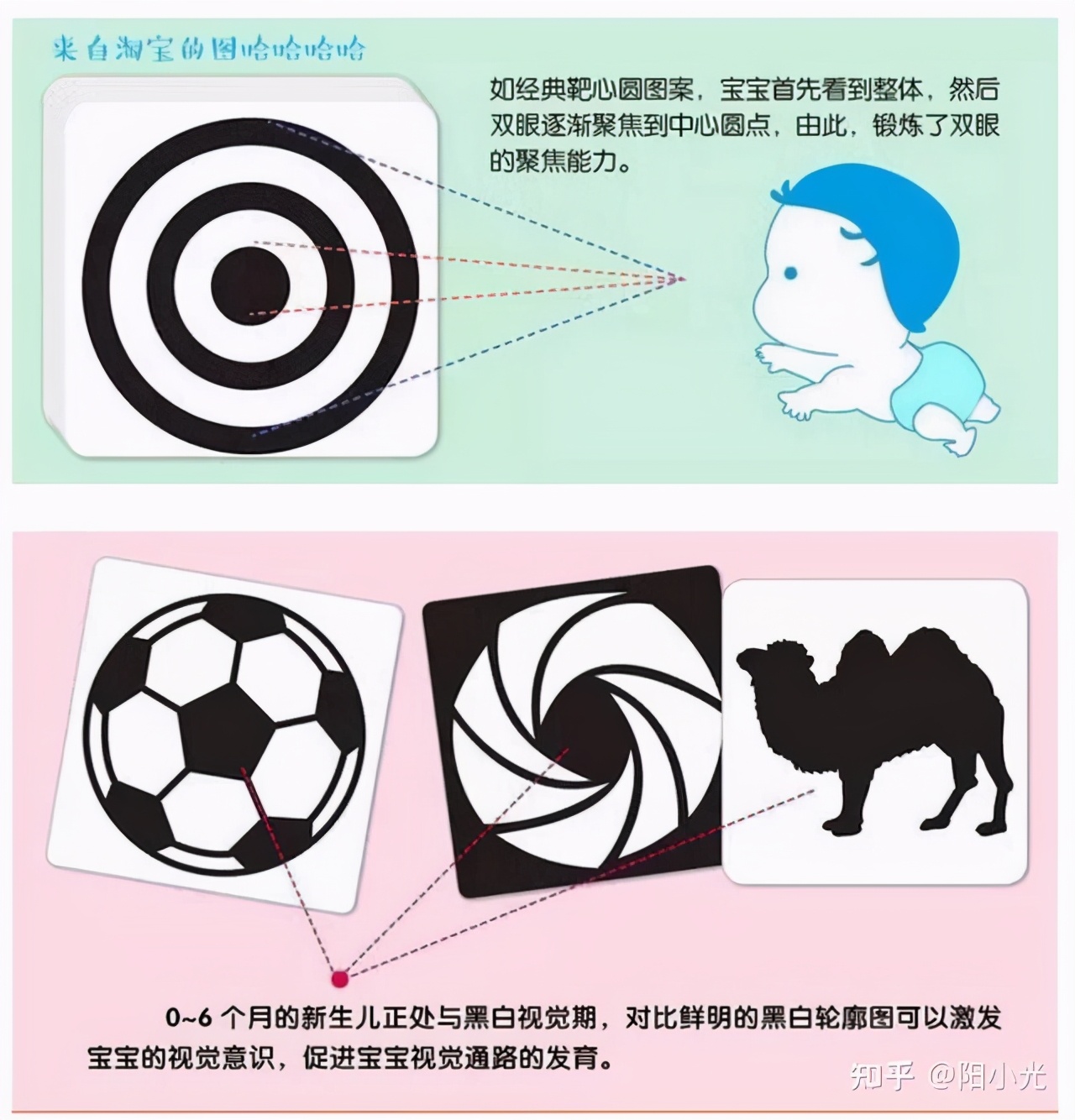 婴儿眼睛发育的过程图(如何促进宝宝的视力发育) - 乐宝宝贝