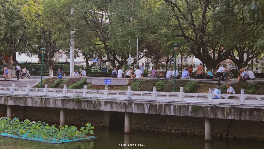 情人桥、城南路、二小巷子、蔡正街等地方，勾起你多少回忆？