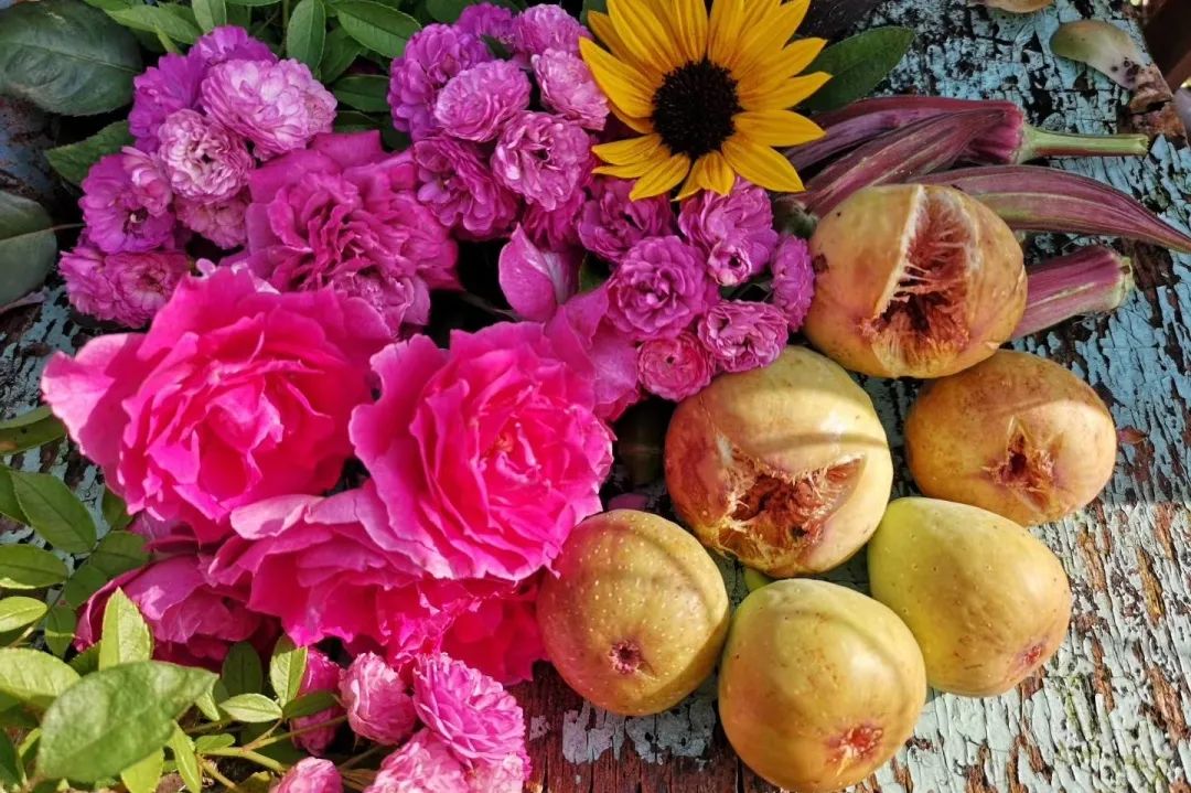 海妈花园访问｜想种花没地方？重庆小学老师在学校楼顶造了座花园