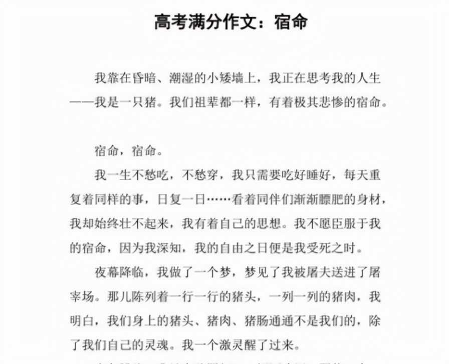 湖南考生高考“满分作文”，得到人民日报的推荐，得满分不为过